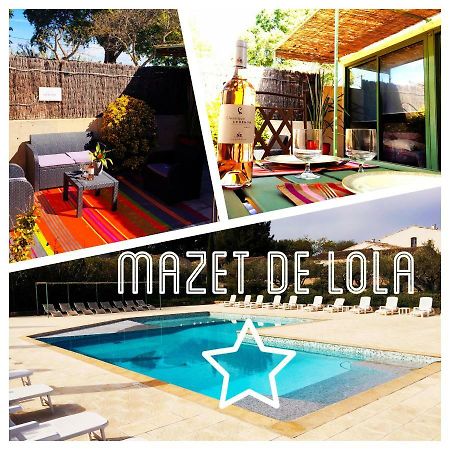 Le Mazet De Lola Villa Saint-Rémy-de-Provence Dış mekan fotoğraf