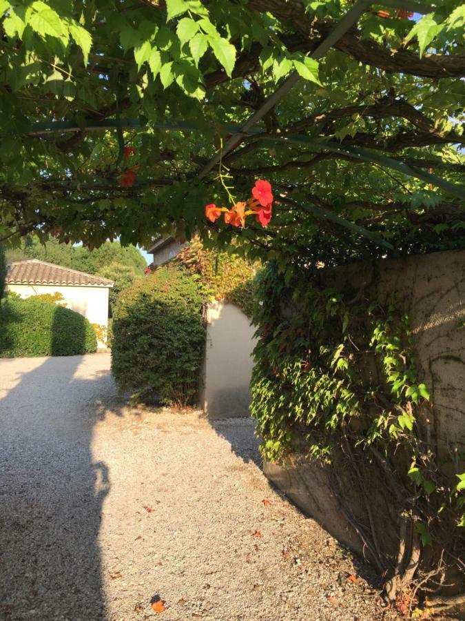 Le Mazet De Lola Villa Saint-Rémy-de-Provence Dış mekan fotoğraf